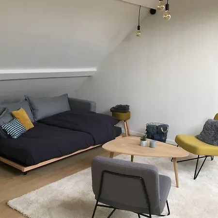 아파트 Studio2 Ename, Dakappartement In Vlaamse Ardennen