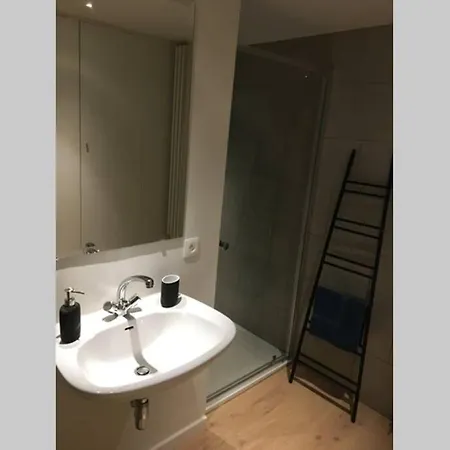아파트 Studio2 Ename, Dakappartement In Vlaamse Ardennen *